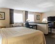 Quality Inn & Suites - Mattoon image 10