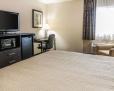 Quality Inn & Suites - Mattoon image 24