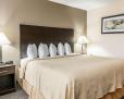 Quality Inn & Suites - Mattoon image 5